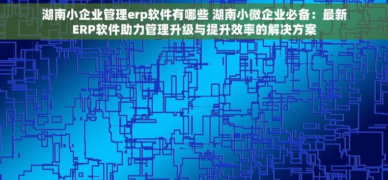 湖南小企业管理erp软件有哪些 湖南小微企业必备：最新ERP软件助力管理升级与提升效率的解决方案