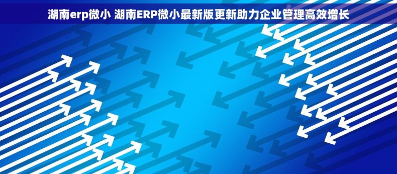 湖南erp微小 湖南ERP微小最新版更新助力企业管理高效增长