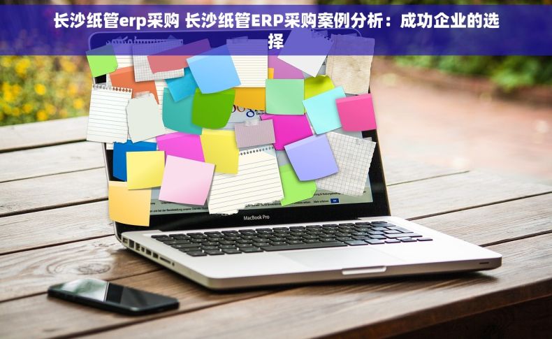 长沙纸管erp采购 长沙纸管ERP采购案例分析：成功企业的选择