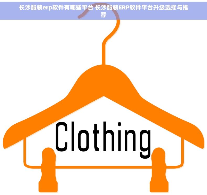 长沙服装erp软件有哪些平台 长沙服装ERP软件平台升级选择与推荐