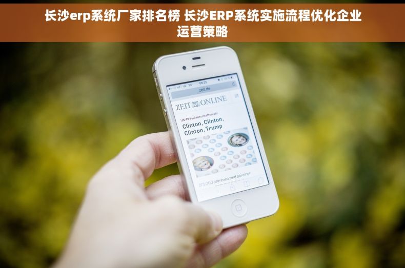 长沙erp系统厂家排名榜 长沙ERP系统实施流程优化企业运营策略