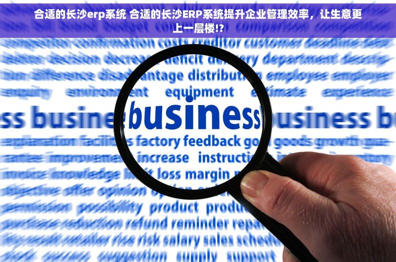 合适的长沙erp系统 合适的长沙ERP系统提升企业管理效率，让生意更上一层楼!?