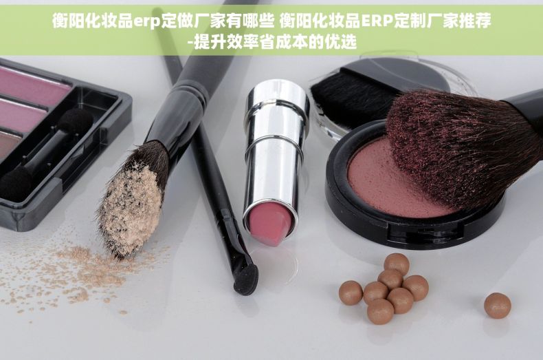 衡阳化妆品erp定做厂家有哪些 衡阳化妆品ERP定制厂家推荐-提升效率省成本的优选