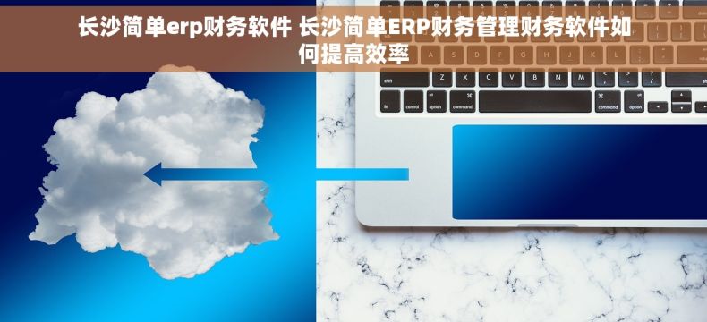 长沙简单erp财务软件 长沙简单ERP财务管理财务软件如何提高效率