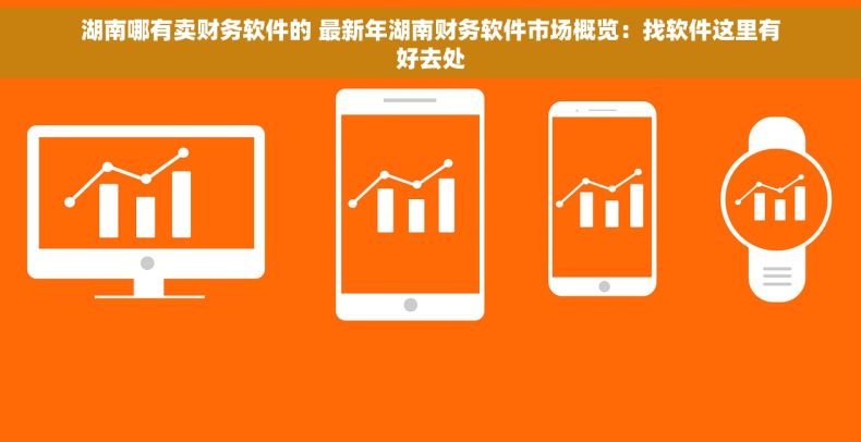 湖南哪有卖财务软件的 最新年湖南财务软件市场概览：找软件这里有好去处