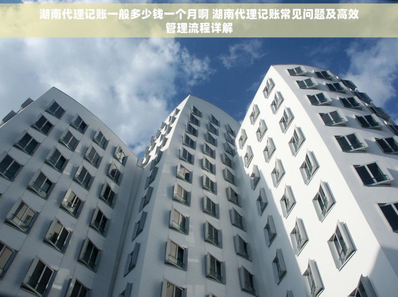 湖南代理记账一般多少钱一个月啊 湖南代理记账常见问题及高效管理流程详解