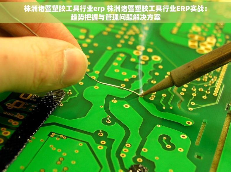 株洲诸暨塑胶工具行业erp 株洲诸暨塑胶工具行业ERP实战：趋势把握与管理问题解决方案