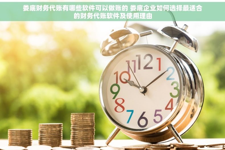 娄底财务代账有哪些软件可以做账的 娄底企业如何选择最适合的财务代账软件及使用理由