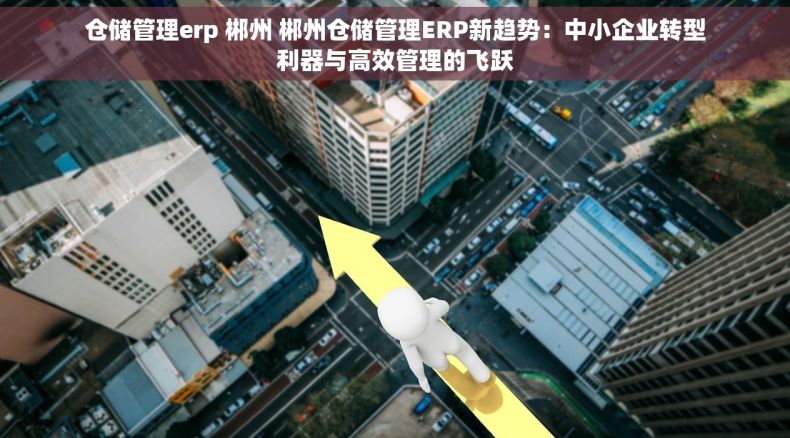 仓储管理erp 郴州 郴州仓储管理ERP新趋势：中小企业转型利器与高效管理的飞跃