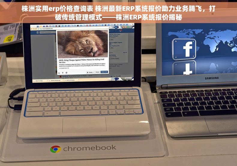 株洲实用erp价格查询表 株洲最新ERP系统报价助力业务腾飞，打破传统管理模式——株洲ERP系统报价揭秘
