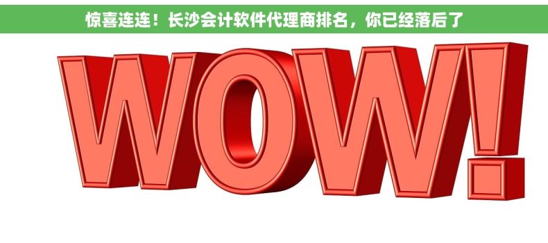 惊喜连连！长沙会计软件代理商排名，你已经落后了