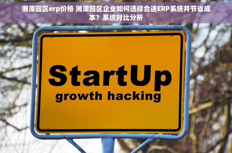 湘潭园区erp价格 湘潭园区企业如何选择合适ERP系统并节省成本？系统对比分析