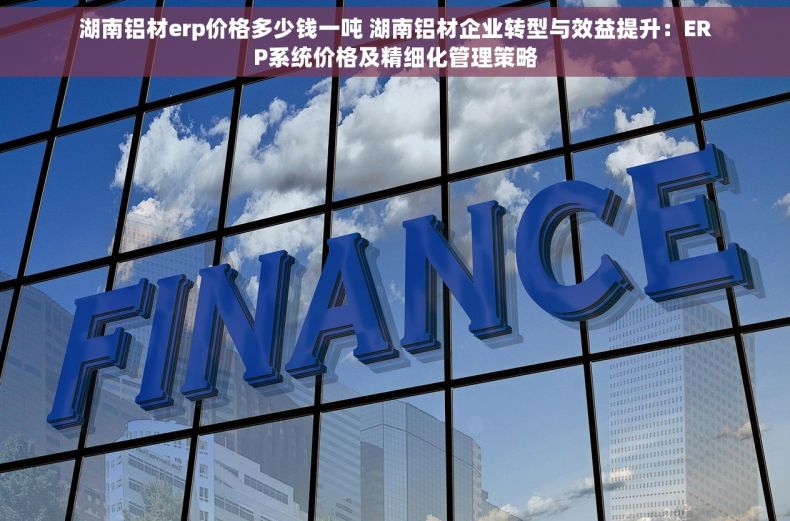 湖南铝材erp价格多少钱一吨 湖南铝材企业转型与效益提升：ERP系统价格及精细化管理策略