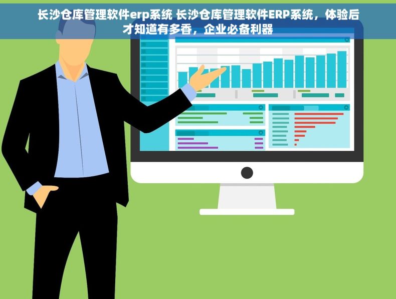 长沙仓库管理软件erp系统 长沙仓库管理软件ERP系统，体验后才知道有多香，企业必备利器
