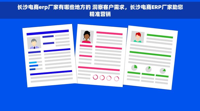 长沙电商erp厂家有哪些地方的 洞察客户需求，长沙电商ERP厂家助您精准营销