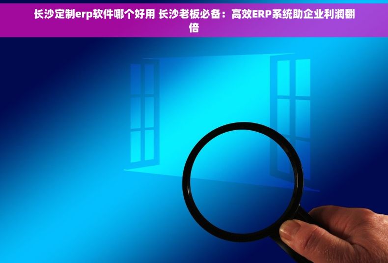 长沙定制erp软件哪个好用 长沙老板必备：高效ERP系统助企业利润翻倍