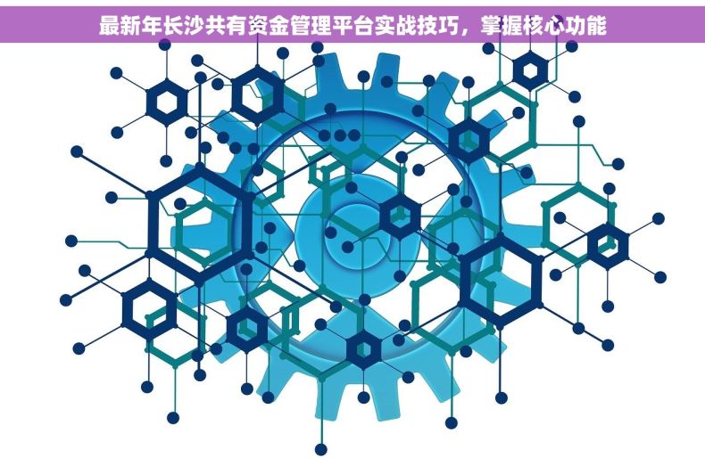 最新年长沙共有资金管理平台实战技巧，掌握核心功能