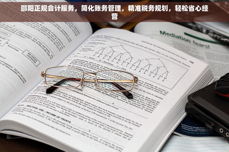 邵阳正规会计服务，简化账务管理，精准税务规划，轻松省心经营