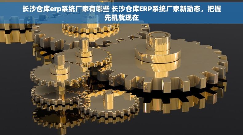 长沙仓库erp系统厂家有哪些 长沙仓库ERP系统厂家新动态，把握先机就现在