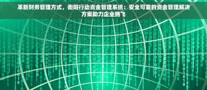 革新财务管理方式，衡阳行动资金管理系统：安全可靠的资金管理解决方案助力企业腾飞