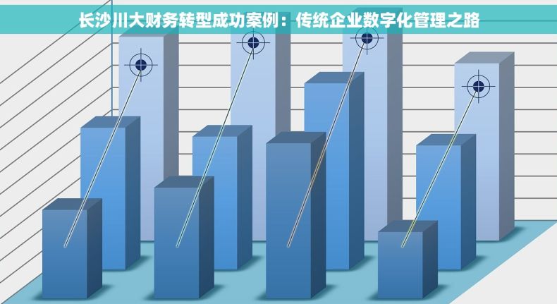 长沙川大财务转型成功案例：传统企业数字化管理之路