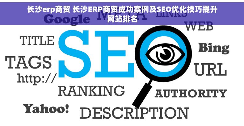 长沙erp商贸 长沙ERP商贸成功案例及SEO优化技巧提升网站排名