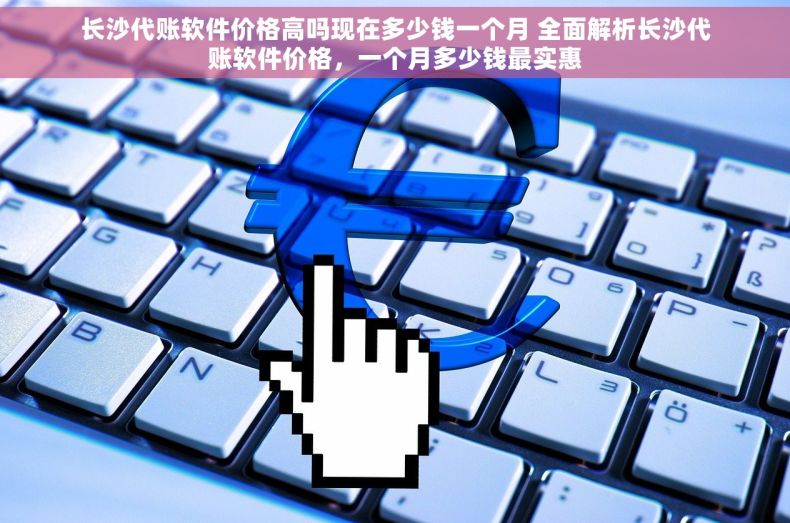 长沙代账软件价格高吗现在多少钱一个月 全面解析长沙代账软件价格，一个月多少钱最实惠