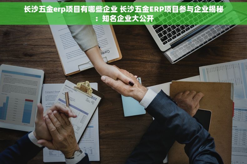 长沙五金erp项目有哪些企业 长沙五金ERP项目参与企业揭秘：知名企业大公开