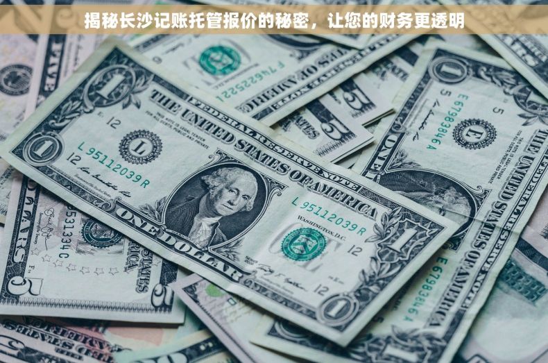 揭秘长沙记账托管报价的秘密，让您的财务更透明