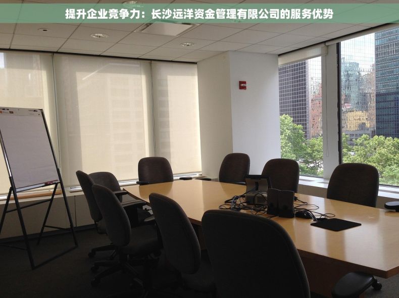提升企业竞争力：长沙远洋资金管理有限公司的服务优势