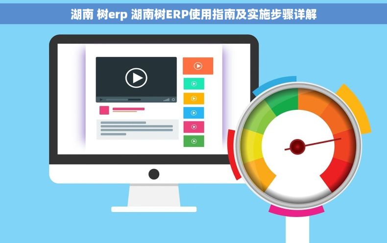 湖南 树erp 湖南树ERP使用指南及实施步骤详解