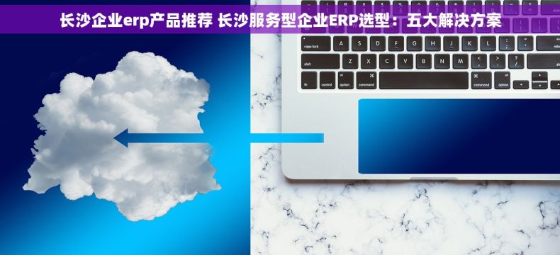 长沙企业erp产品推荐 长沙服务型企业ERP选型：五大解决方案