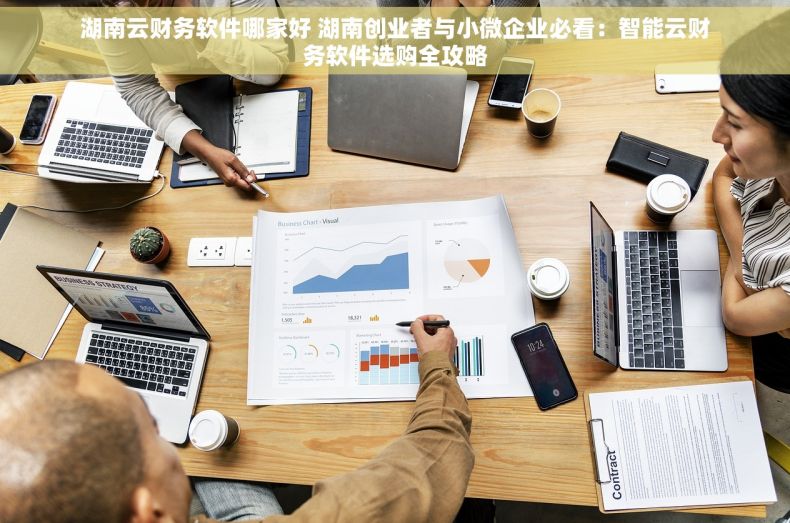 湖南云财务软件哪家好 湖南创业者与小微企业必看：智能云财务软件选购全攻略
