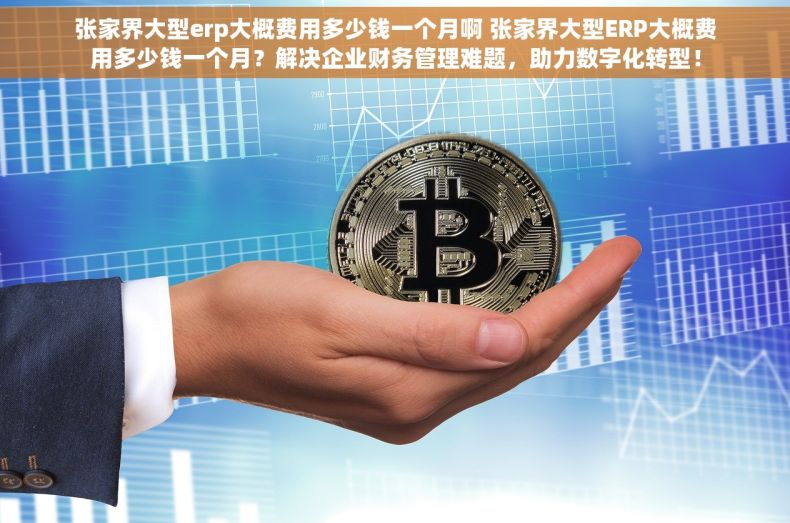 张家界大型erp大概费用多少钱一个月啊 张家界大型ERP大概费用多少钱一个月？解决企业财务管理难题，助力数字化转型！