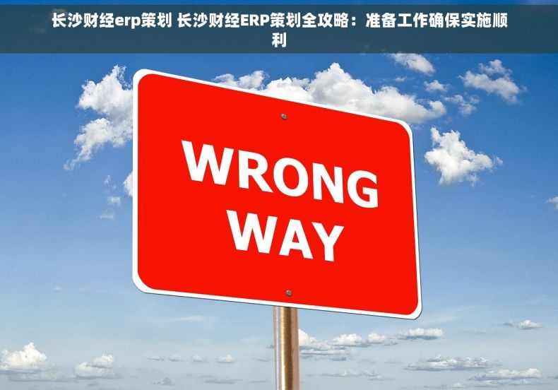 长沙财经erp策划 长沙财经ERP策划全攻略：准备工作确保实施顺利
