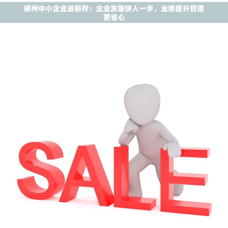 郴州中小企业进销存：企业发展快人一步，业绩提升管理更省心