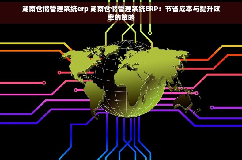 湖南仓储管理系统erp 湖南仓储管理系统ERP：节省成本与提升效率的策略