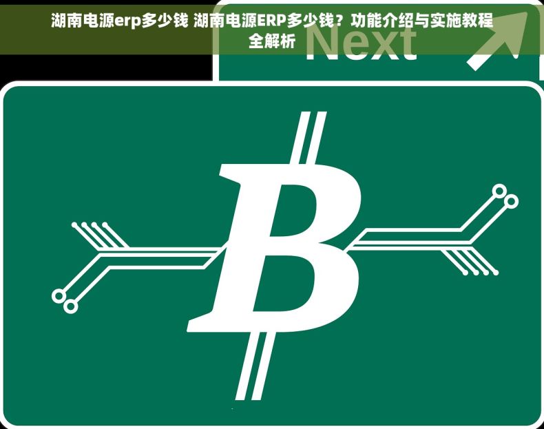 湖南电源erp多少钱 湖南电源ERP多少钱？功能介绍与实施教程全解析
