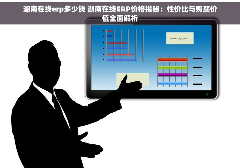 湖南在线erp多少钱 湖南在线ERP价格揭秘：性价比与购买价值全面解析