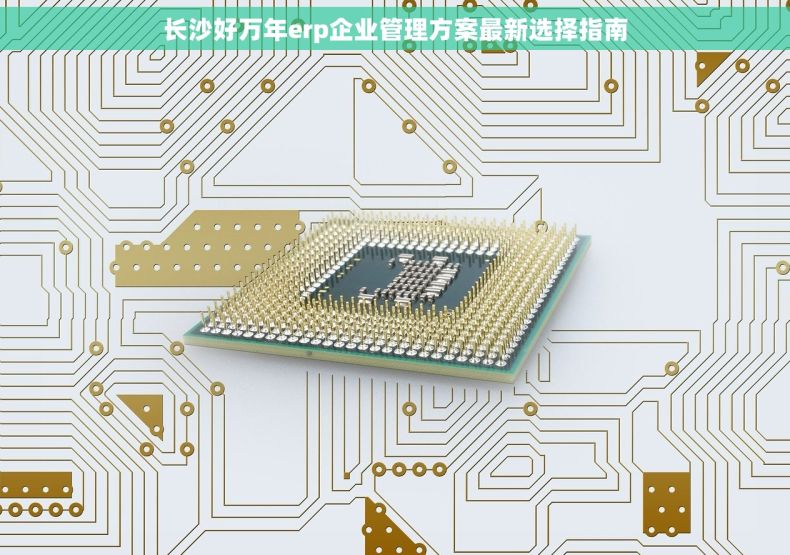 长沙好万年erp企业管理方案最新选择指南
