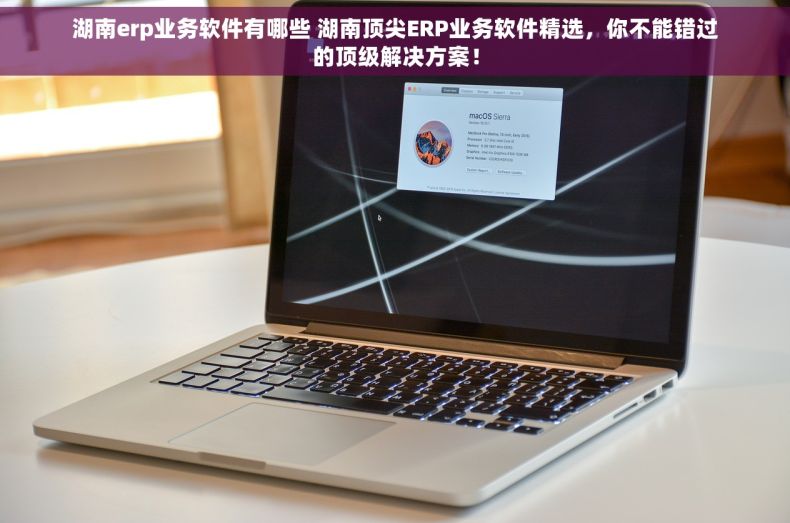 湖南erp业务软件有哪些 湖南顶尖ERP业务软件精选，你不能错过的顶级解决方案！