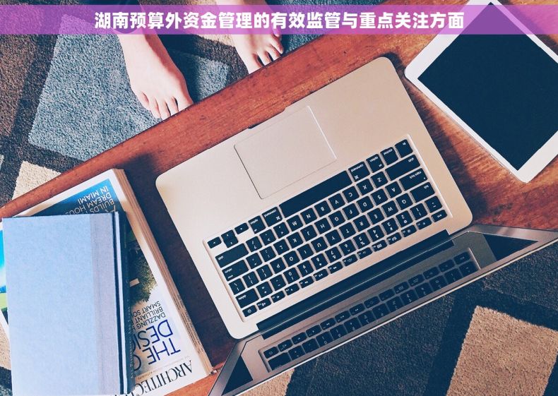 湖南预算外资金管理的有效监管与重点关注方面