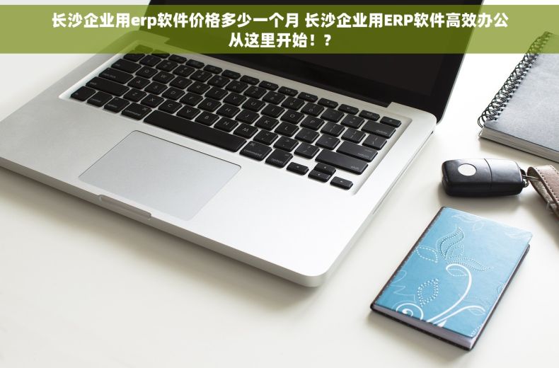 长沙企业用erp软件价格多少一个月 长沙企业用ERP软件高效办公从这里开始！?