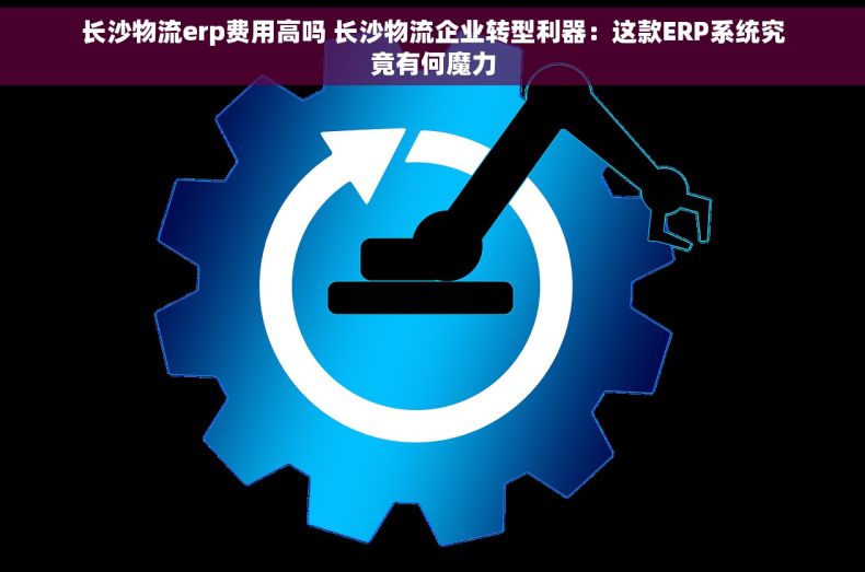 长沙物流erp费用高吗 长沙物流企业转型利器：这款ERP系统究竟有何魔力