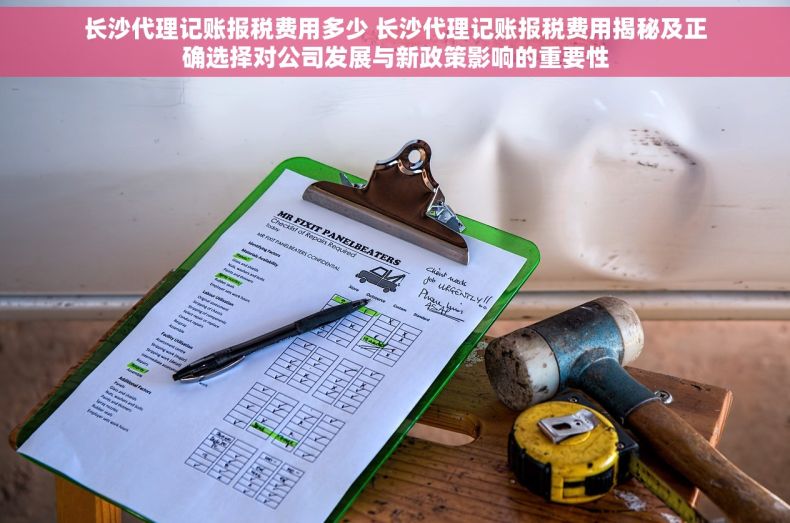 长沙代理记账报税费用多少 长沙代理记账报税费用揭秘及正确选择对公司发展与新政策影响的重要性