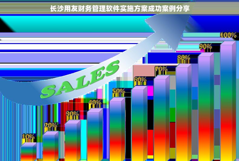长沙用友财务管理软件实施方案成功案例分享