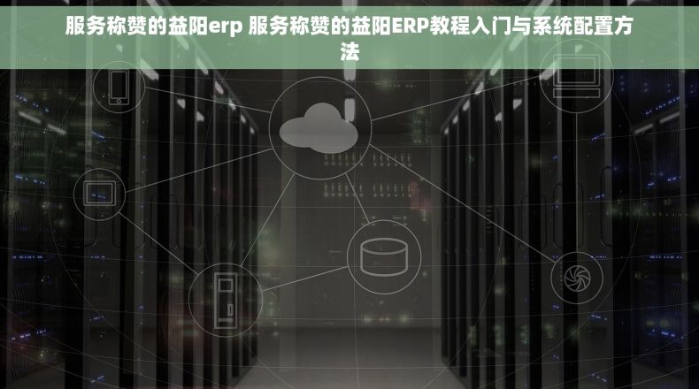 服务称赞的益阳erp 服务称赞的益阳ERP教程入门与系统配置方法