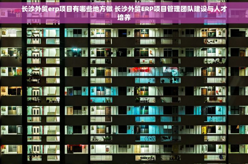 长沙外贸erp项目有哪些地方做 长沙外贸ERP项目管理团队建设与人才培养