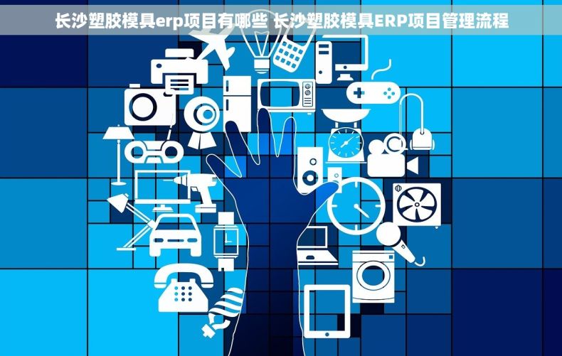 长沙塑胶模具erp项目有哪些 长沙塑胶模具ERP项目管理流程