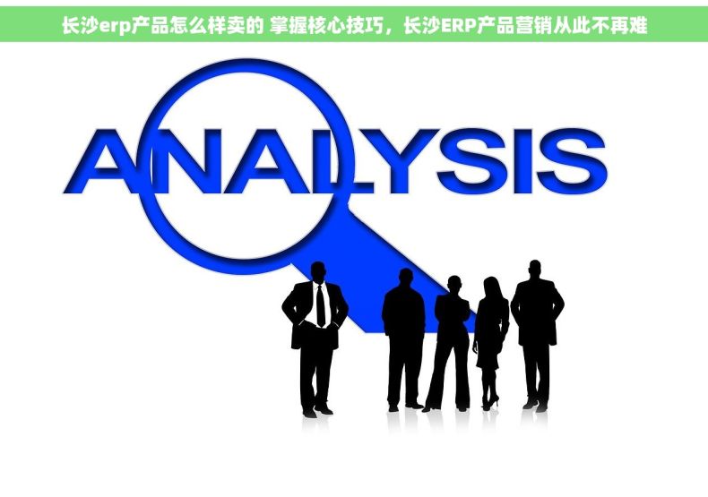 长沙erp产品怎么样卖的 掌握核心技巧，长沙ERP产品营销从此不再难